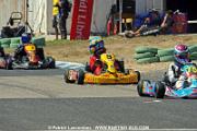 DSC_6940 copie